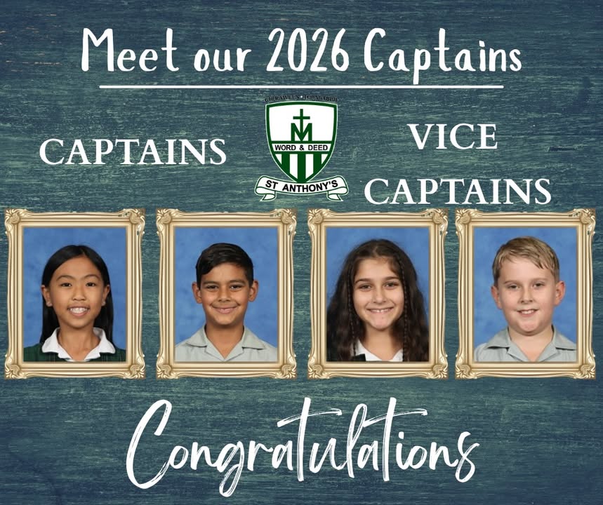 735880395004465_1316576443601521-1