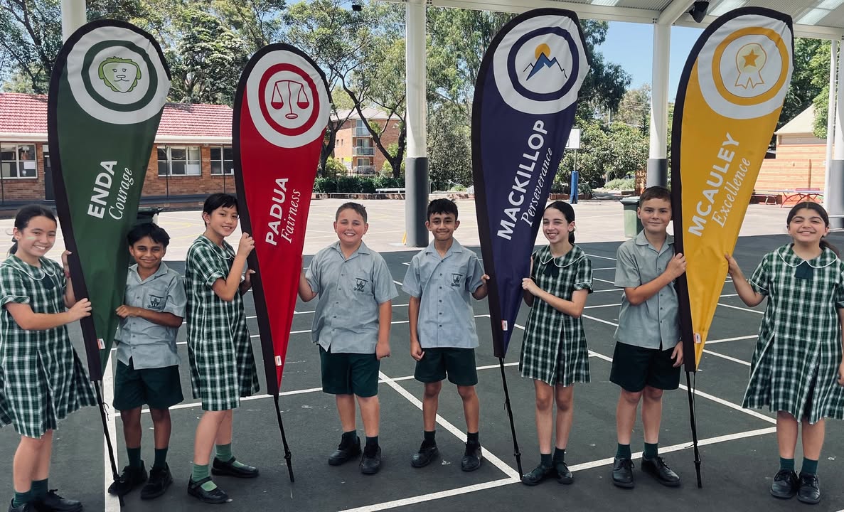 735880395004465_1318859963373169-1